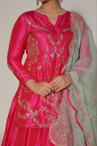 Peony Pink Embroidered Shirt with Ghagra