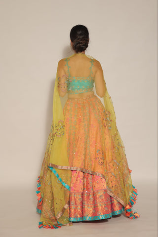 Coral kanjivaram Embroidered Lehenga Set