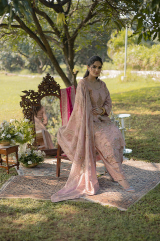 Blush Embroidered Shirt with JM Salwar set