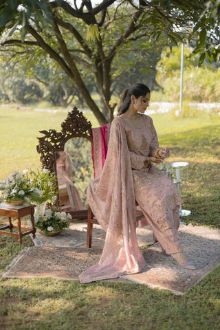Blush Embroidered Shirt with JM Salwar set