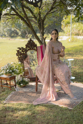Blush Embroidered Shirt with JM Salwar set