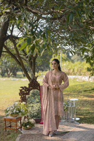Blush Embroidered Shirt with JM Salwar set