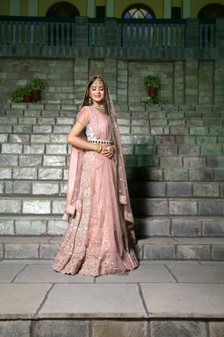 Blush Pink Embroidered Lehenga Set