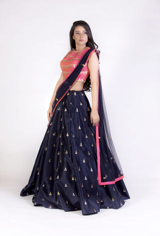 Navy Blue Embroidered Lehenga Set